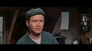 Red Buttons Red Buttons